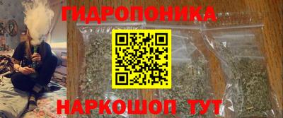крисы Тулун