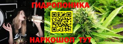крисы Тулун