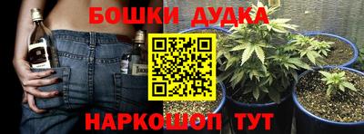 крисы Тулун